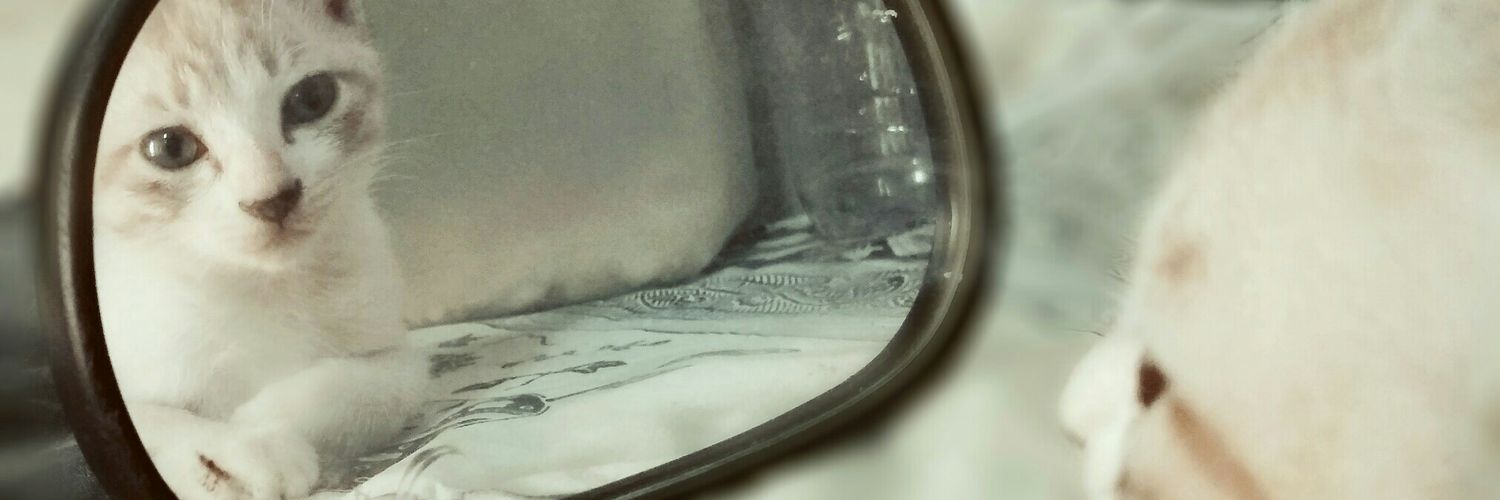 gitkuss's profile banner image