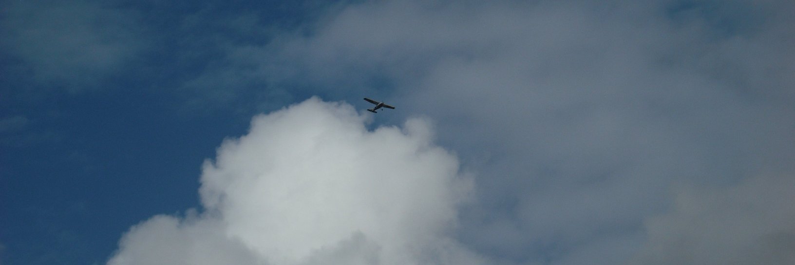 Luci Napleton banner