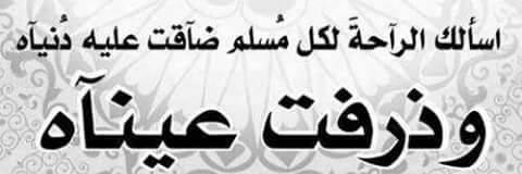 magdy mohamed banner