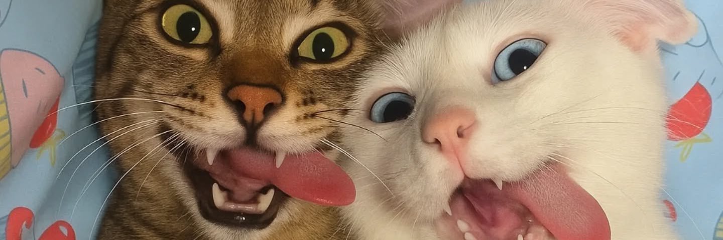 sufIower's profile banner image