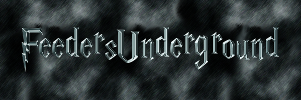 BigBroDoncey's profile banner image