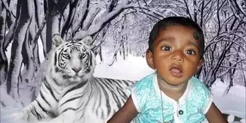 abdul848686's profile banner image