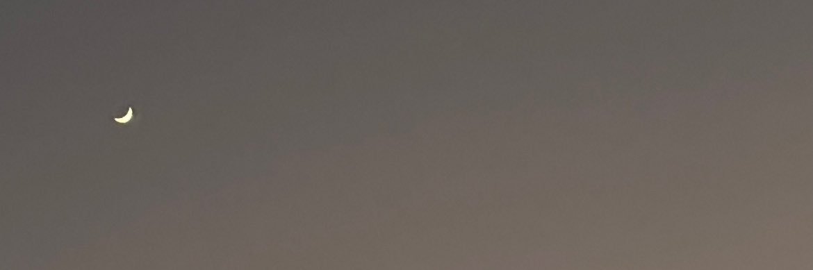 s banner