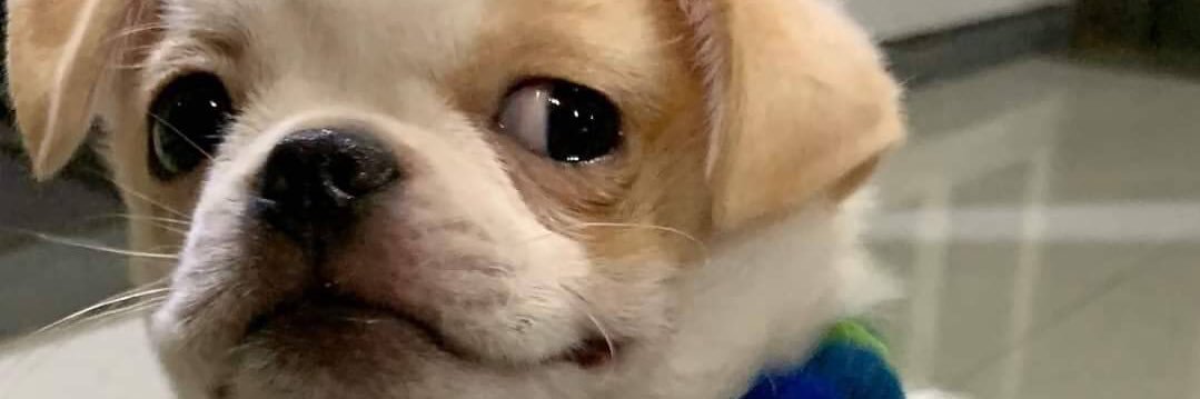 tee_wun's profile banner image