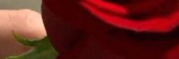 A banner