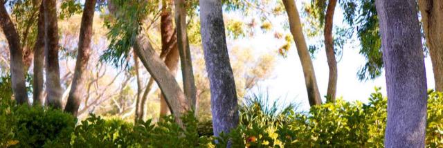 n_walker_'s profile banner image
