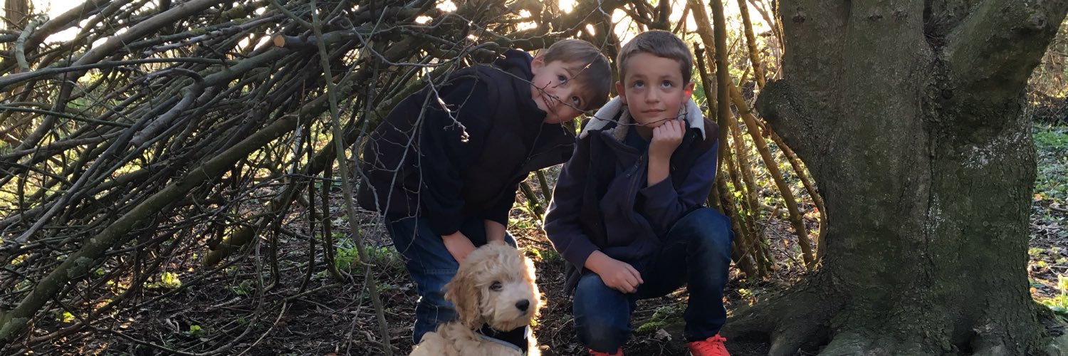 Jonathan Bale banner