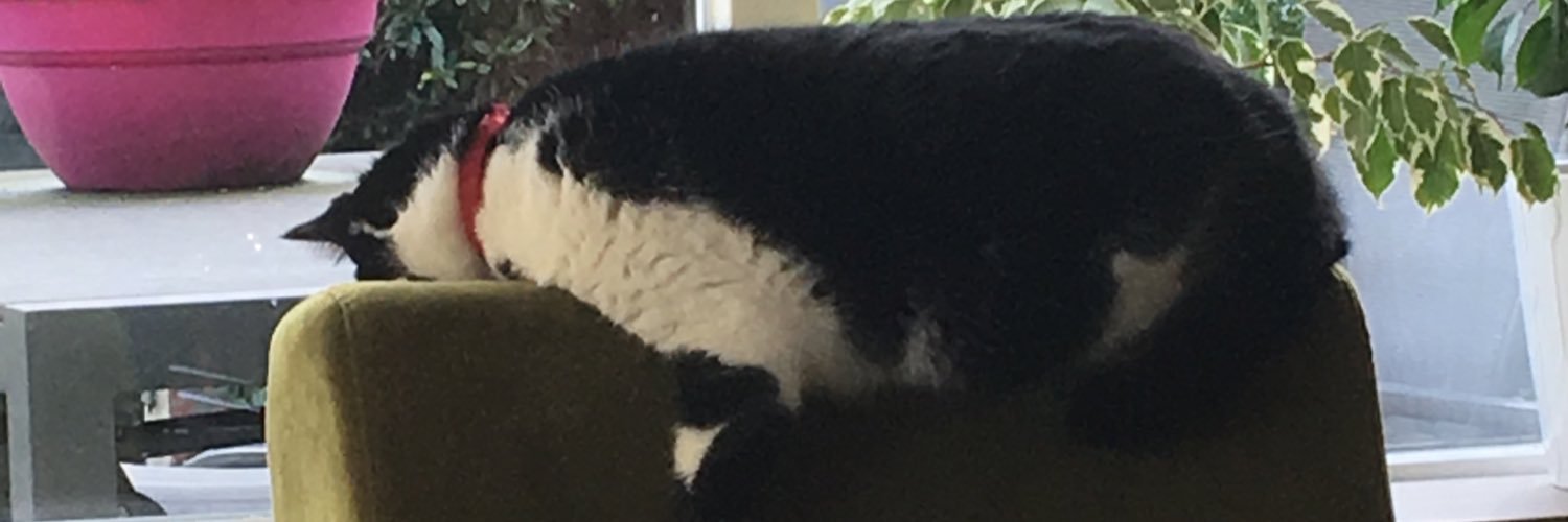 JustHumpty's profile banner image