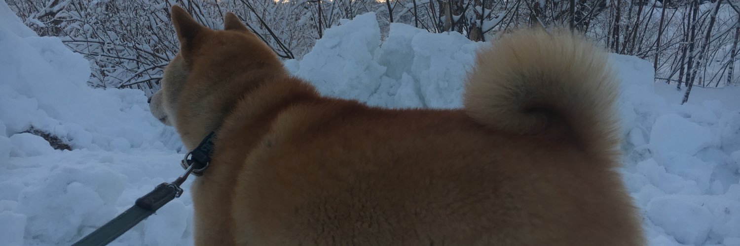tesigoro2's profile banner image