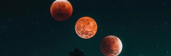 BtlGuncaldi's profile banner image