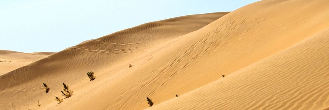 MMizo23's profile banner image
