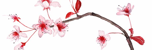 hanamirb Profile Banner