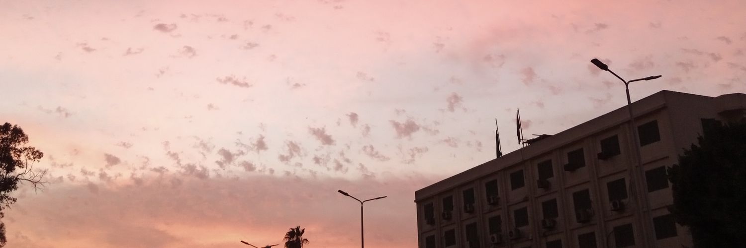 tea_turtlez's profile banner image
