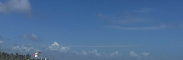 fanny banner