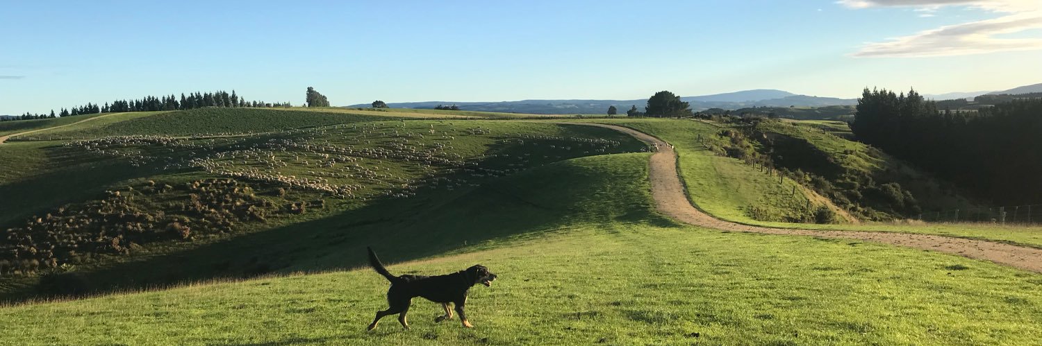 woodhead_nigel's profile banner image