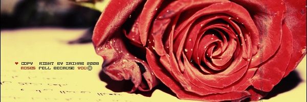 alish5667's profile banner image