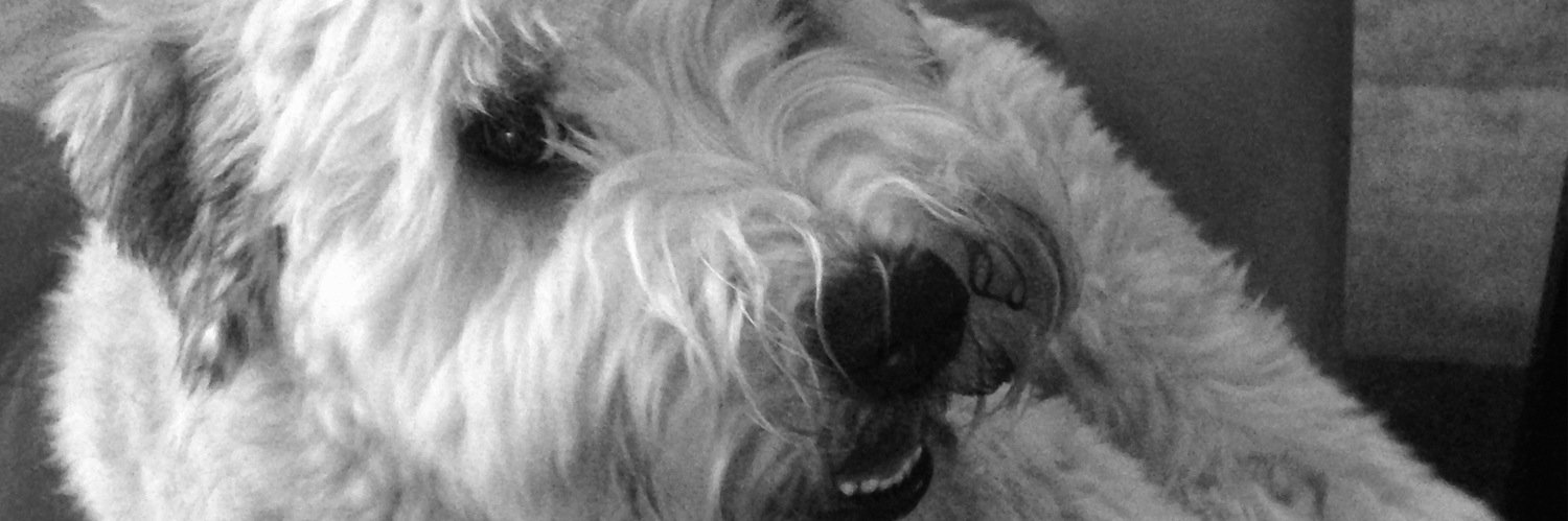 edwardtlynes's profile banner image