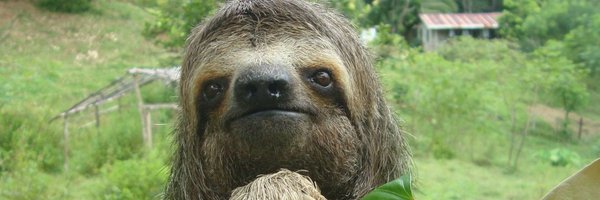 RSloth69 Profile Banner