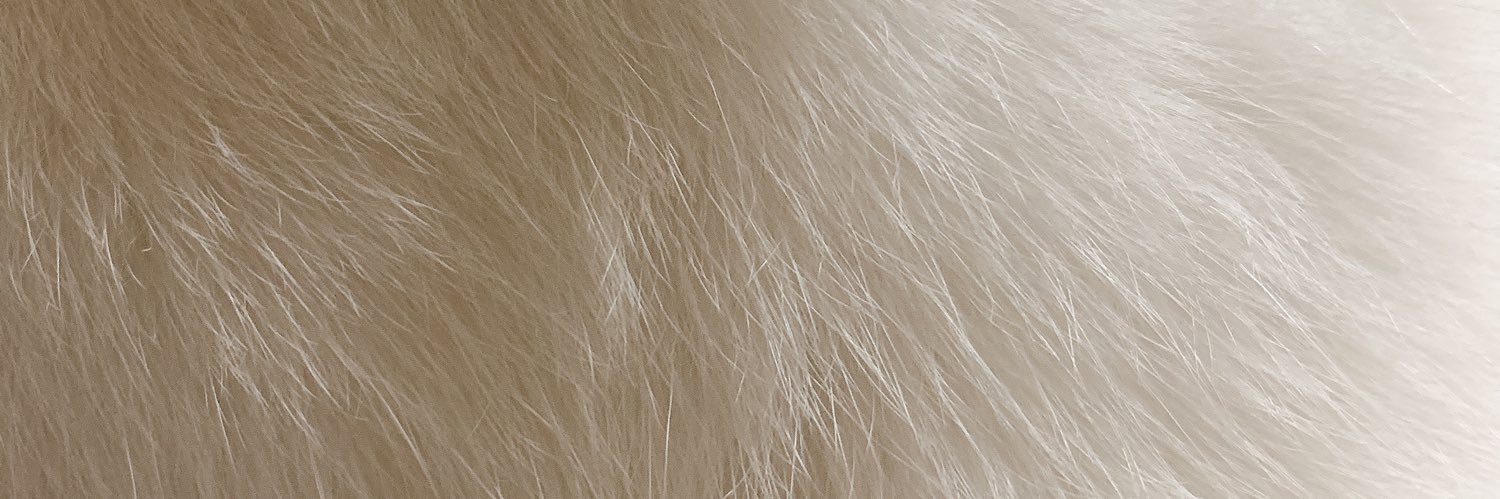 0ookiki's profile banner image