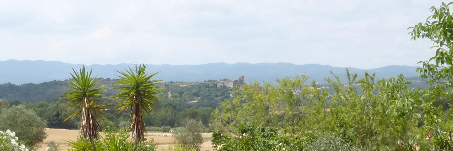 Roger Font Vilagran banner