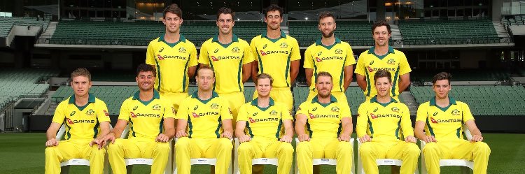 Marcus Stoinis banner