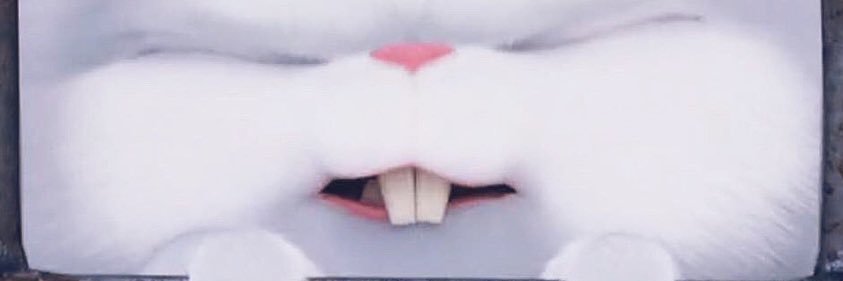 _m_cha__y's profile banner image