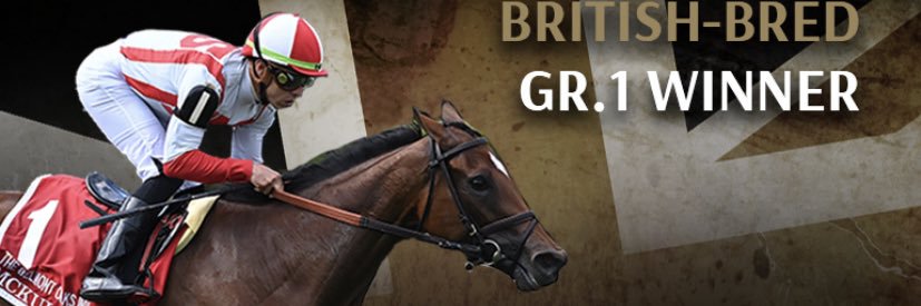 AdrianOBrien2's profile banner image