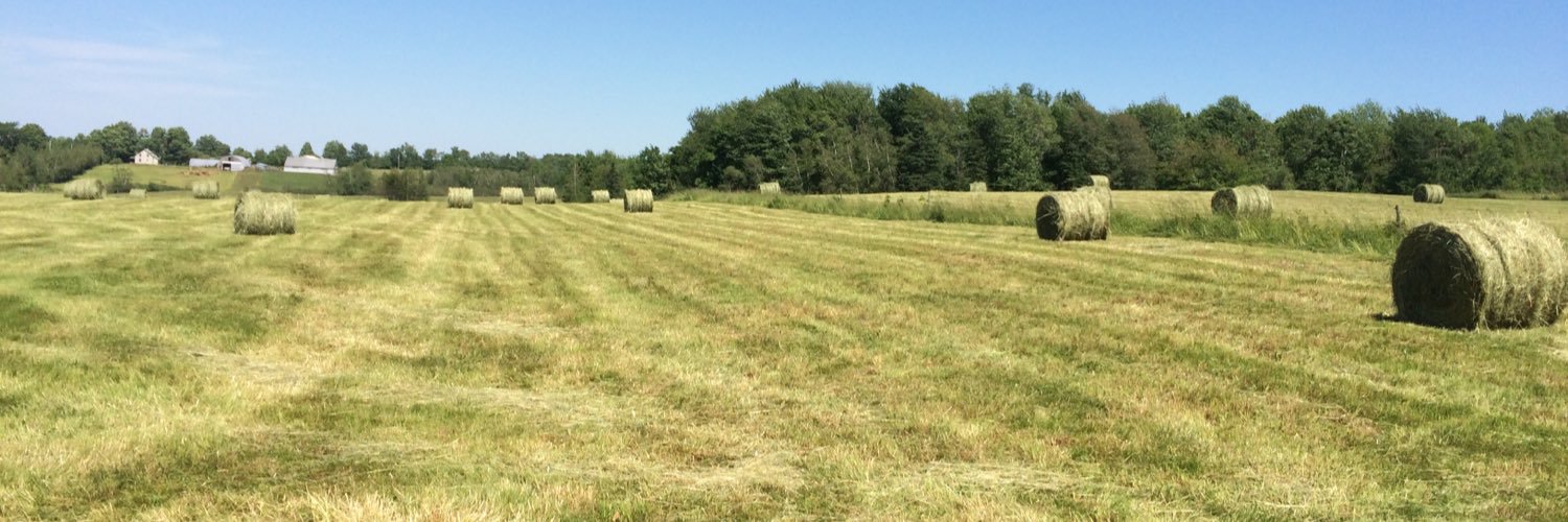 PastureHill's profile banner image