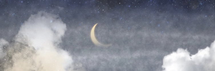 shumaii___'s profile banner image