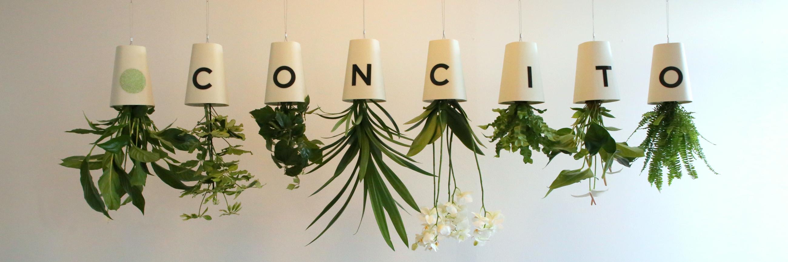 Jarl Krausing banner