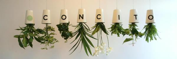 jarlkrausing Profile Banner