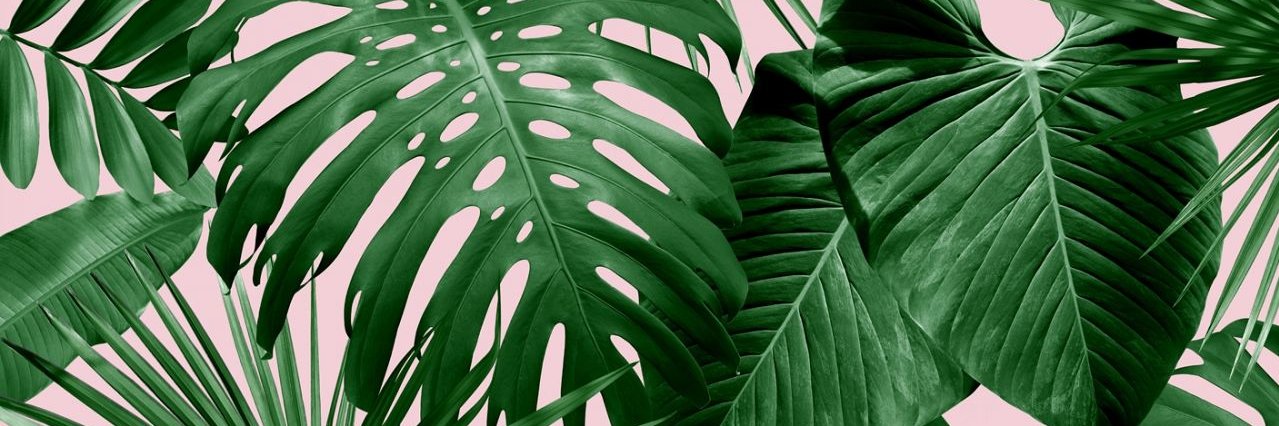 Taeyang_09's profile banner image