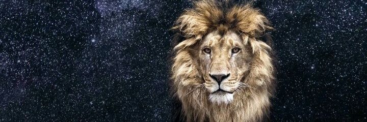 Goldenboy374's profile banner image