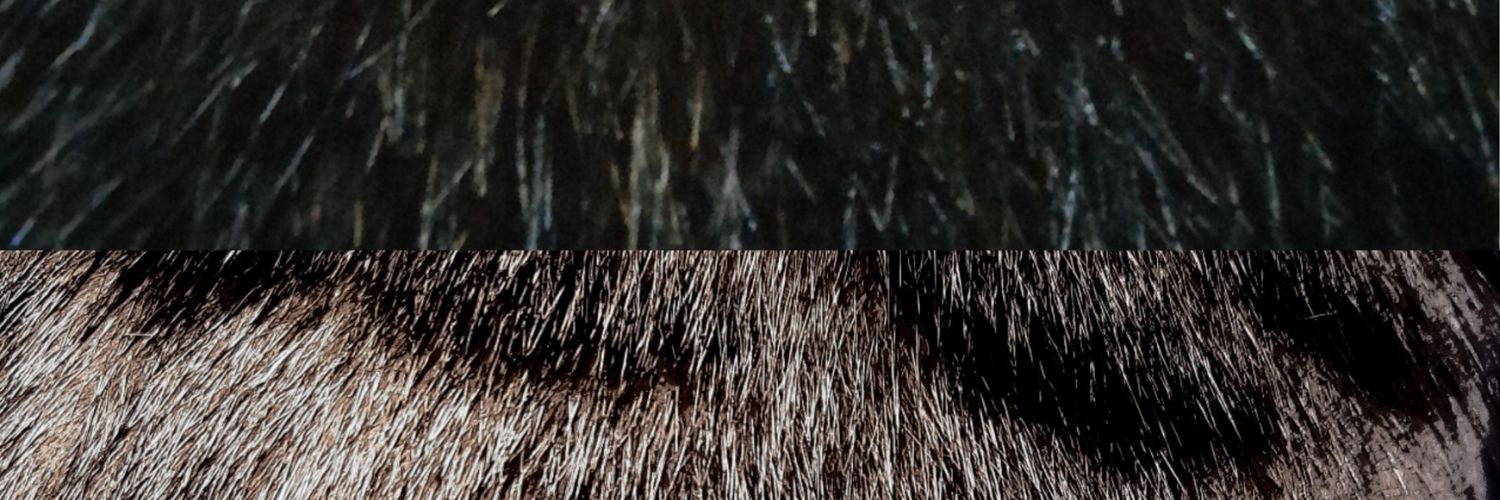 13fns's profile banner image