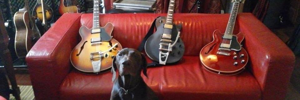 2bigbrowndogs's profile banner image