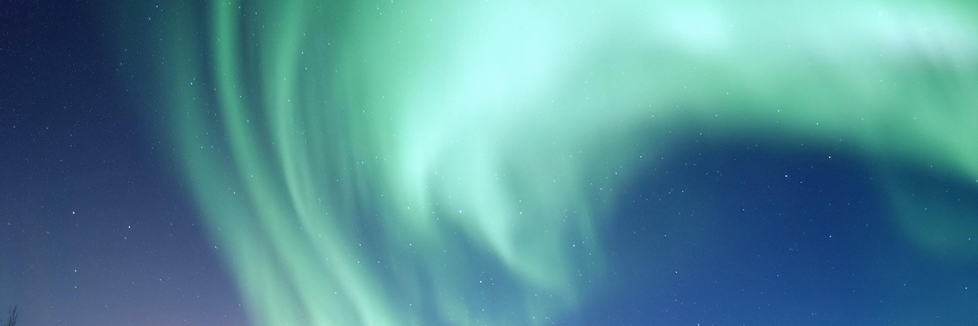localguidesice's profile banner image