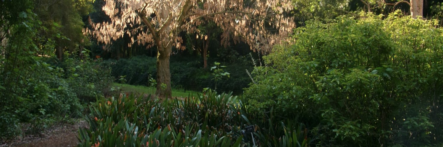 ftdt_dylan's profile banner image