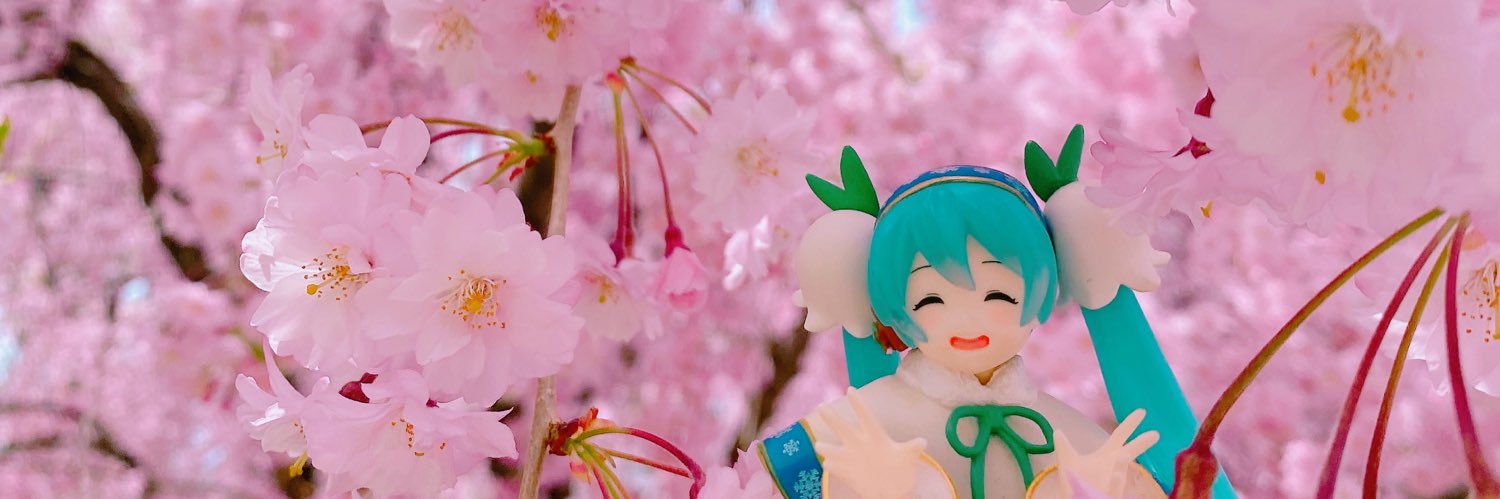めめ banner