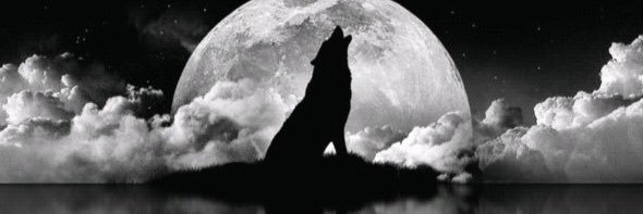 king_wisdom2's profile banner image