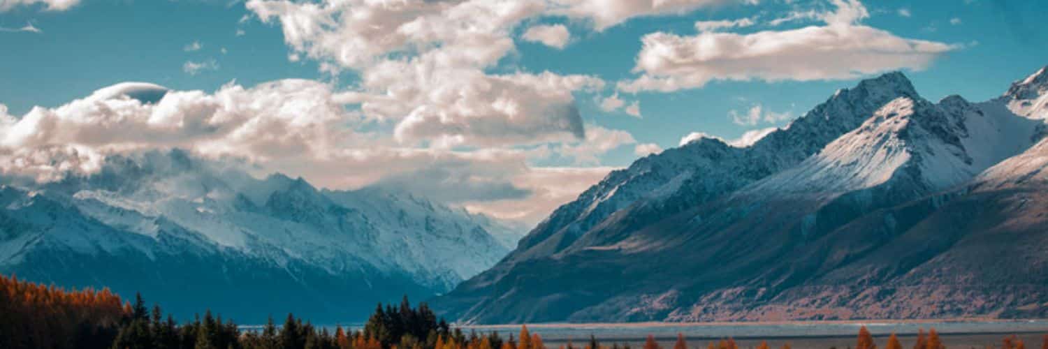 flowurmsy's profile banner image