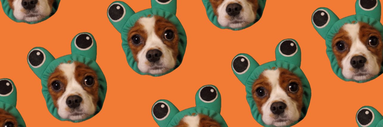 ブヌーピーとチャーリーブリウン banner