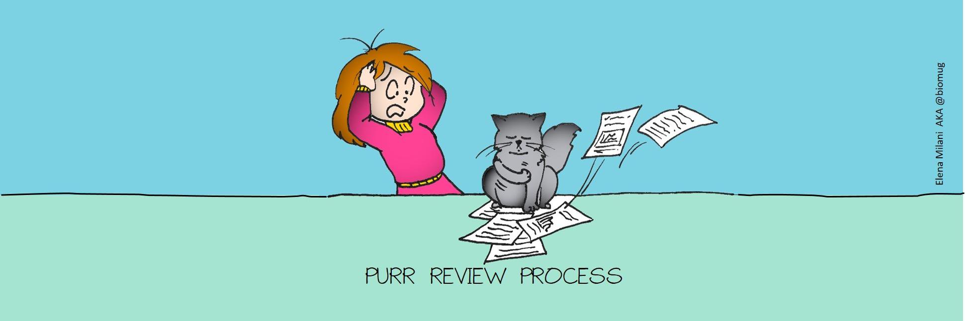 AcademicCat's profile banner image