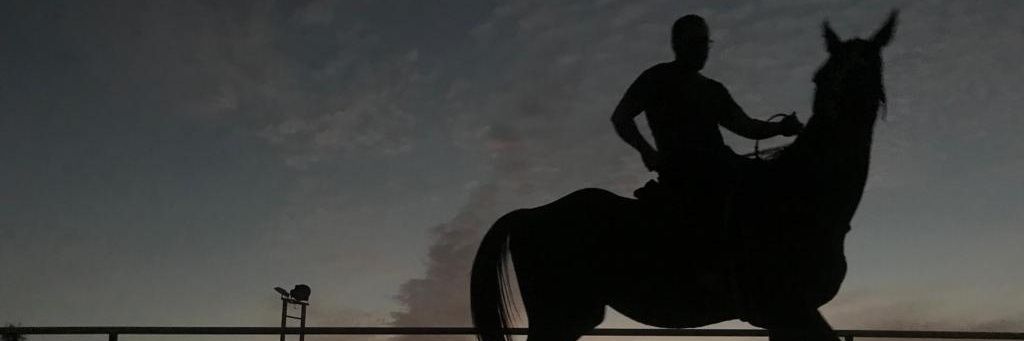MohammadTaleb's profile banner image