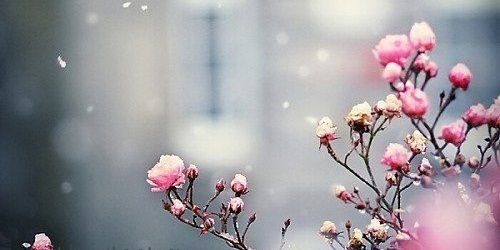 3thb23's profile banner image