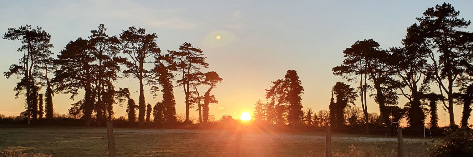 Catherine (Ivers) Cinnamond banner