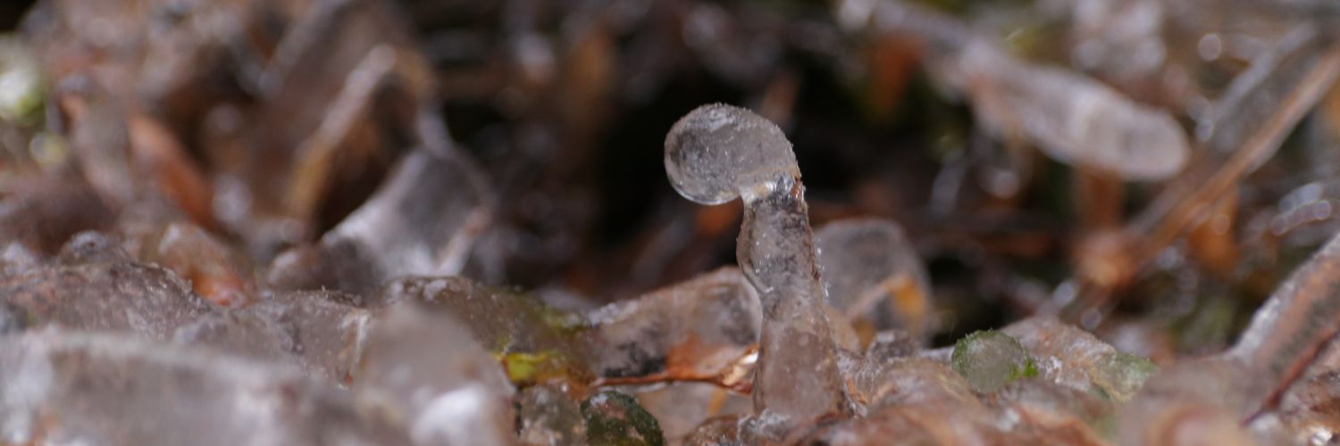 古のさかきさえ banner