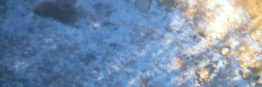 oak_blanco's profile banner image