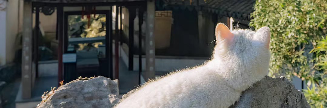 凌枵詠 banner