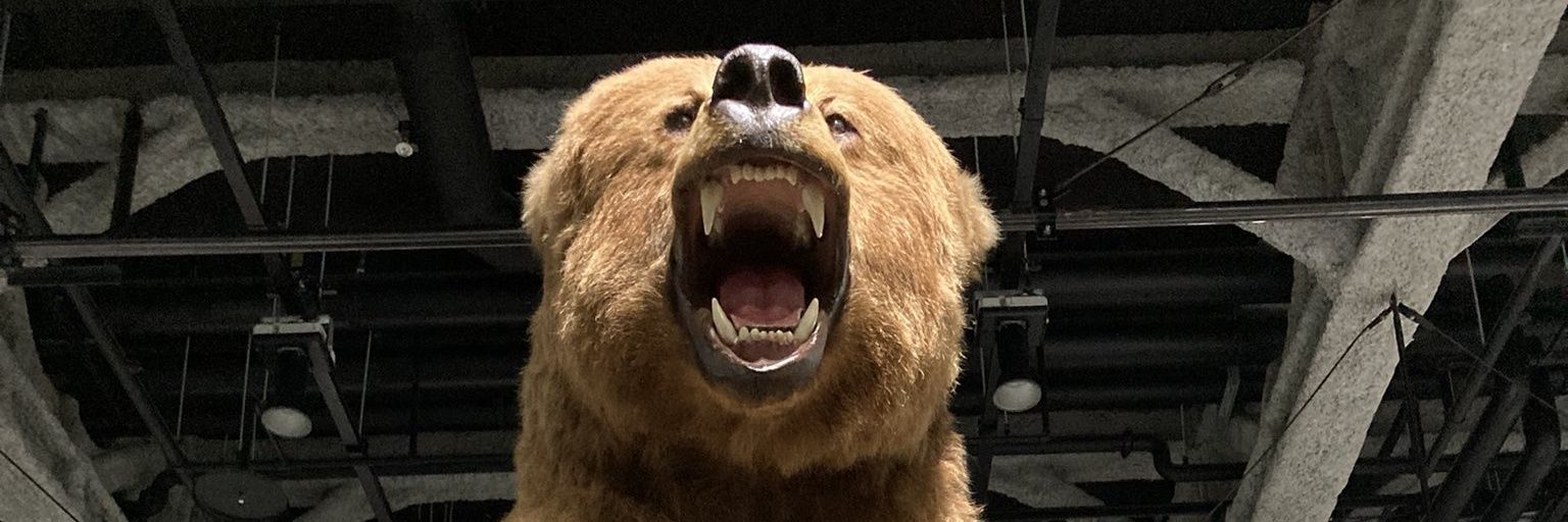 toratoramm's profile banner image