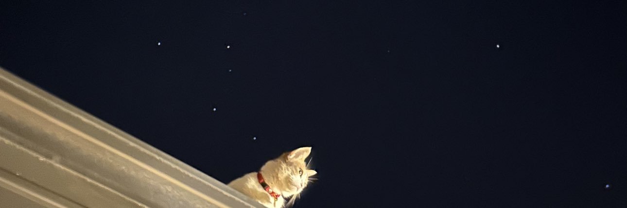 asminbt's profile banner image